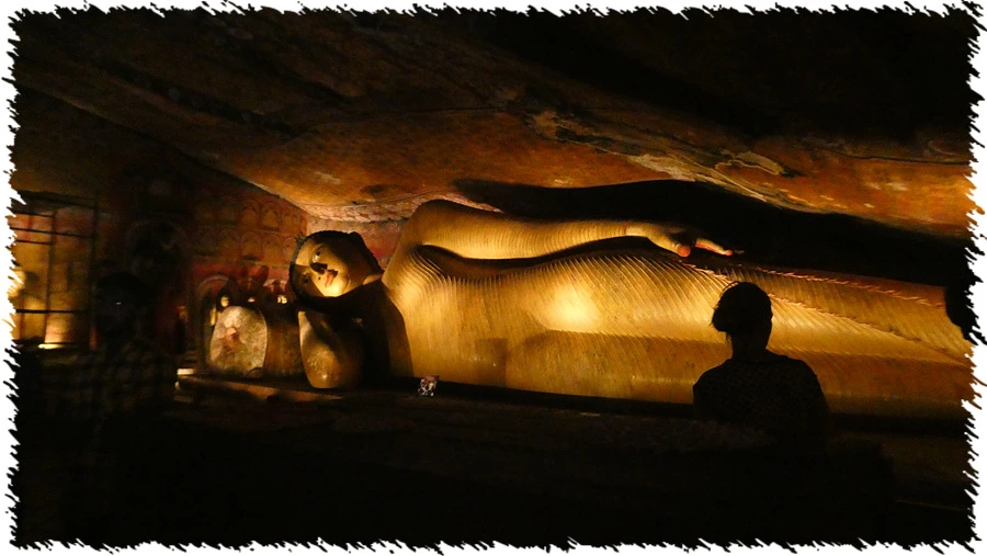 P1010913.jpg?type=w966