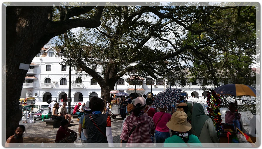 P1011165.jpg?type=w966