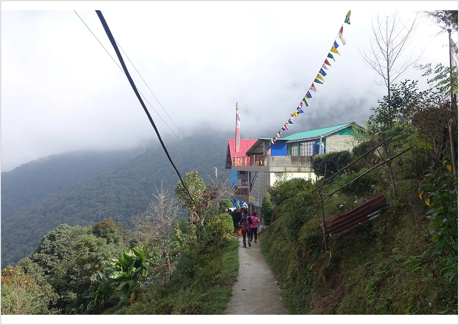 DSC01208.jpg?type=w966