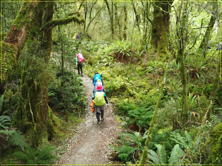 17.jpg?type=w966&jopt=2