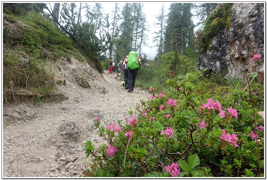 DSC00144.jpg?type=w966&jopt=2