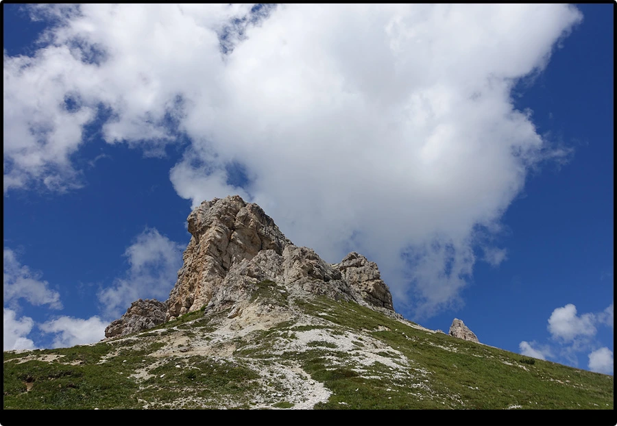 DSC00228.jpg?type=w966&jopt=2