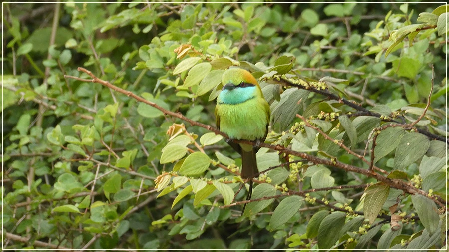 P1021950.jpg?type=w966