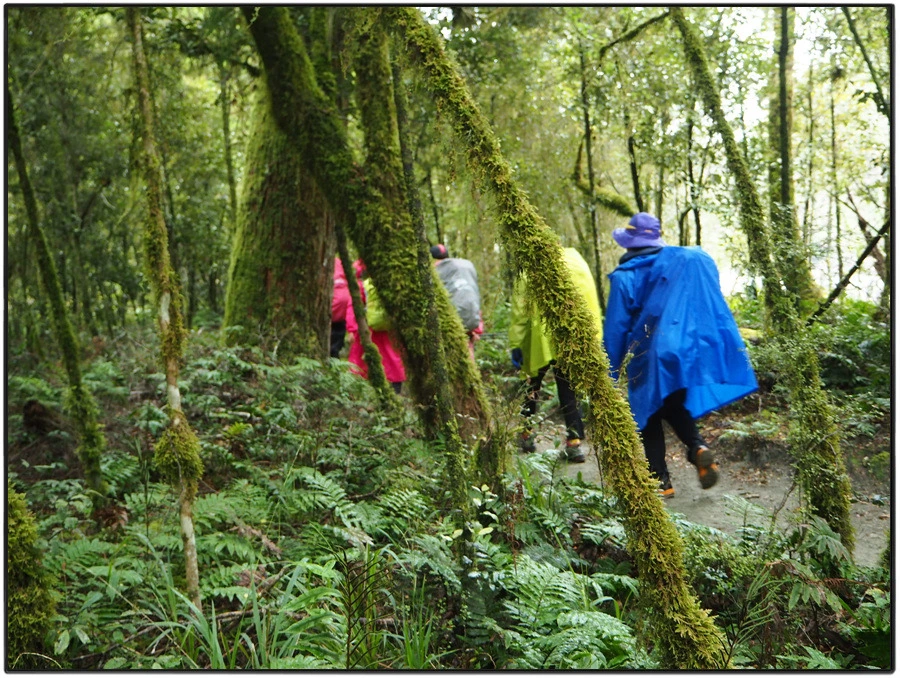 34.jpg?type=w966&jopt=2