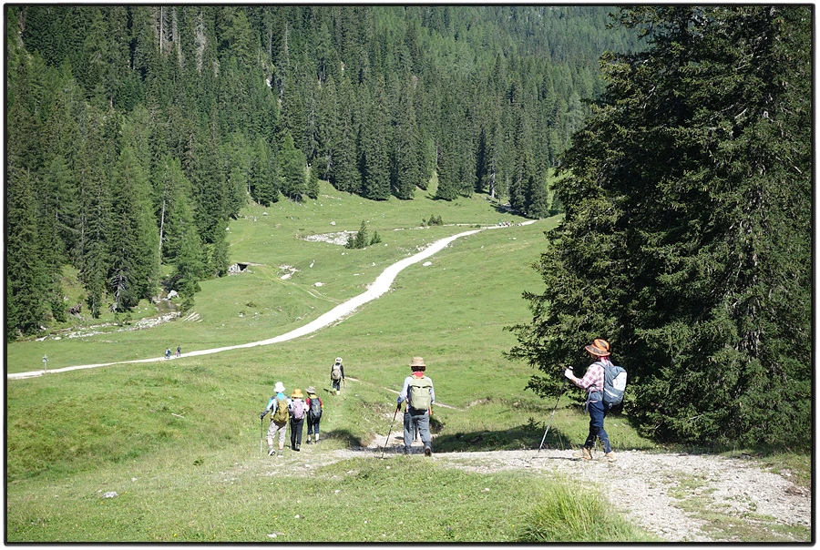 DSC00177.jpg?type=w966&jopt=2