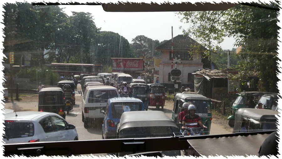 P1010833.jpg?type=w966