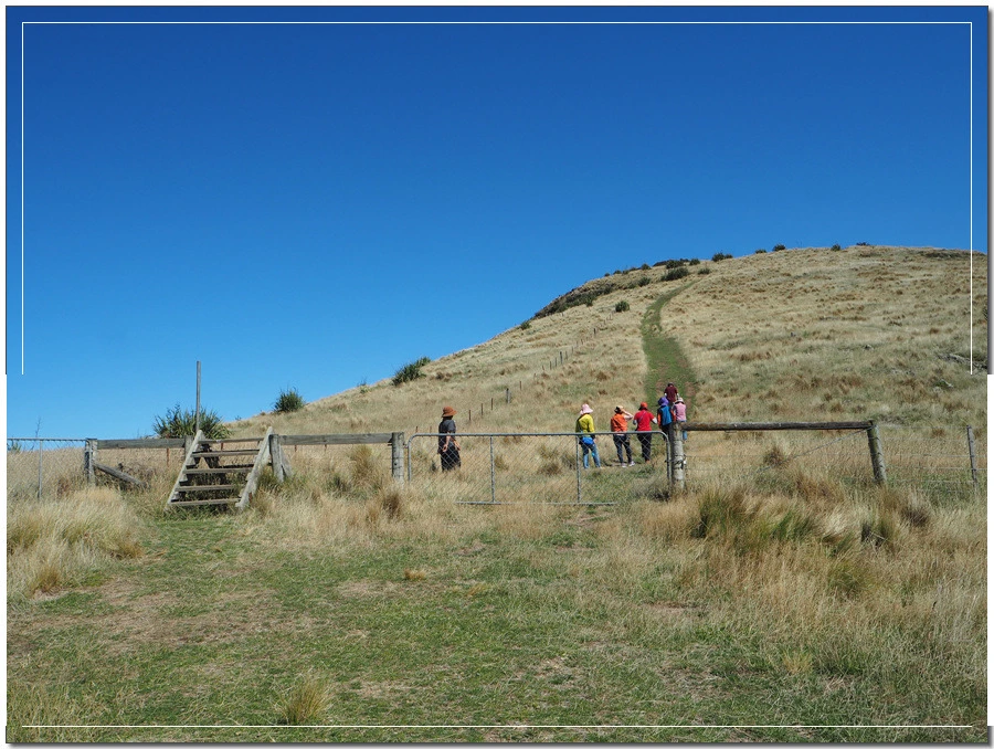 7.jpg?type=w966&jopt=2