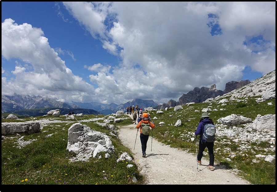 DSC00268.jpg?type=w966&jopt=2