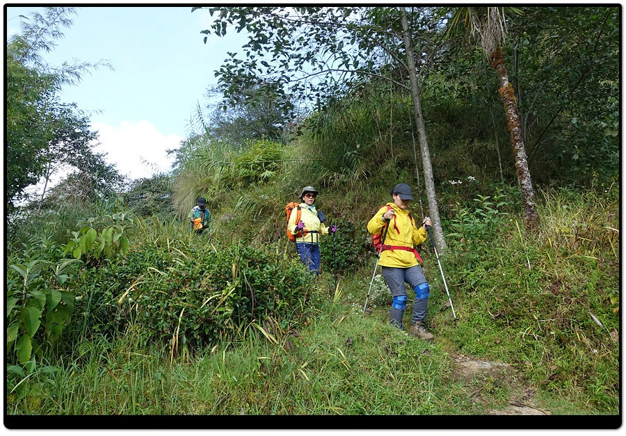 DSC01252.jpg?type=w966