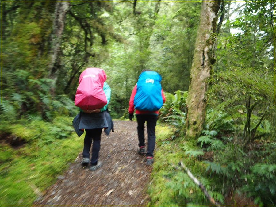 6.jpg?type=w966&jopt=2