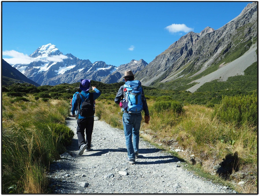 37.jpg?type=w966&jopt=2