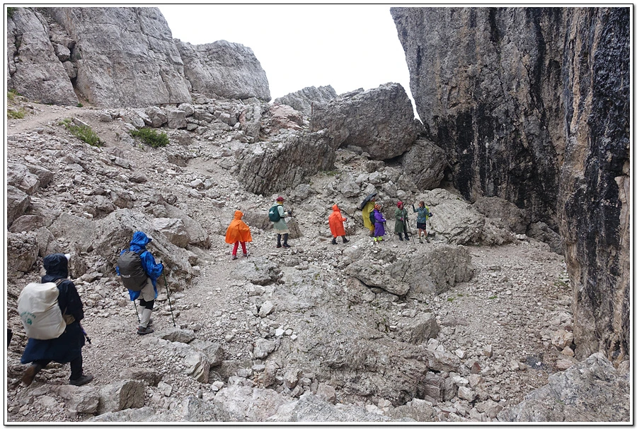 DSC00061.jpg?type=w966&jopt=2