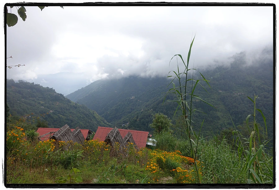 DSC00538.jpg?type=w966