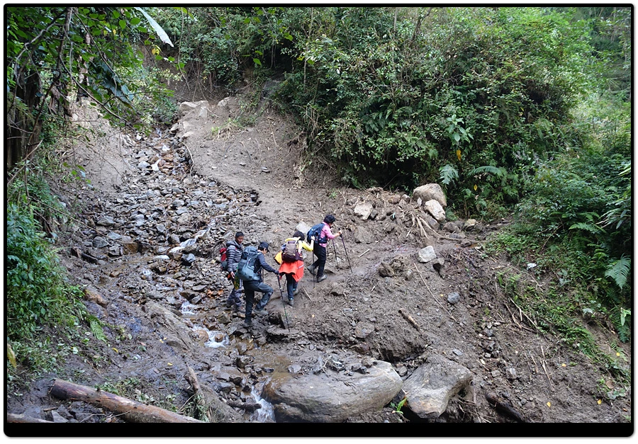 DSC01257.jpg?type=w966