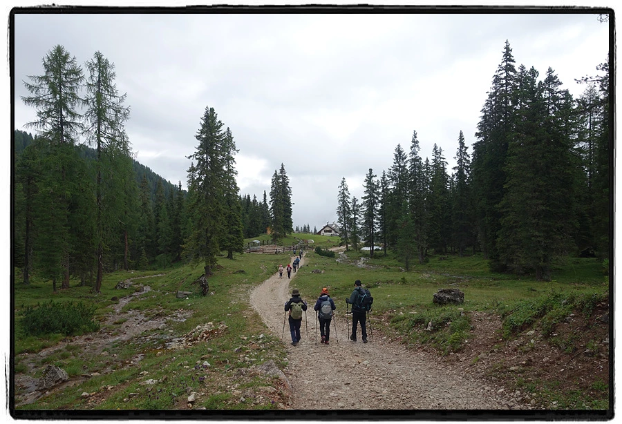 DSC00120.jpg?type=w966&jopt=2