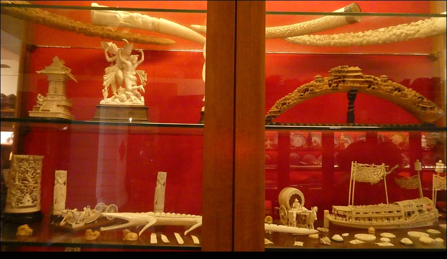 P1022219.jpg?type=w966