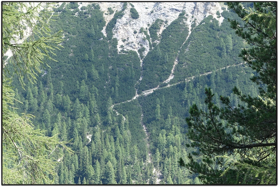 DSC00206.jpg?type=w966&jopt=2