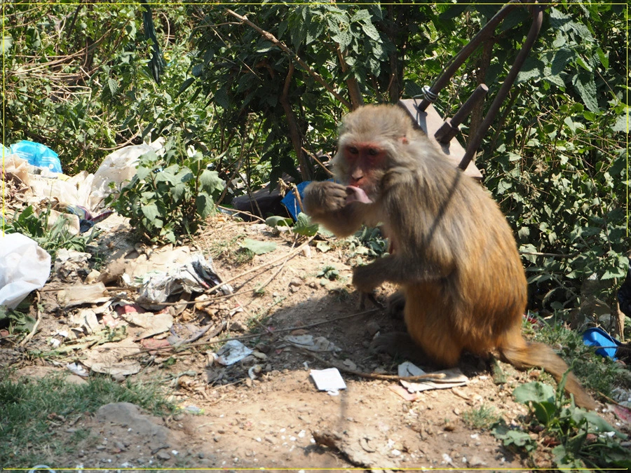 54.jpg?type=w966&jopt=2