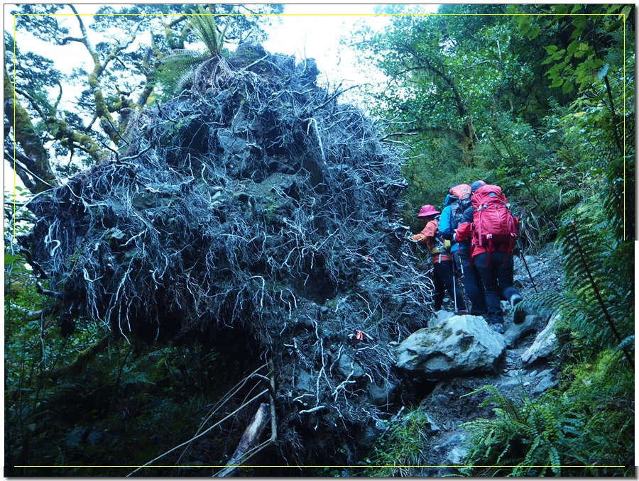 7.jpg?type=w966&jopt=2