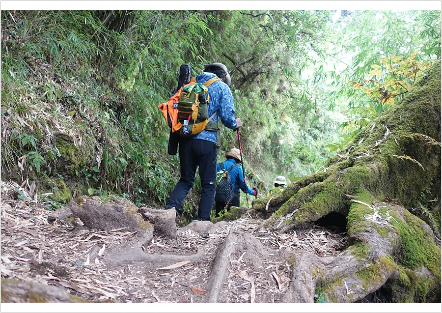 DSC01204.jpg?type=w966