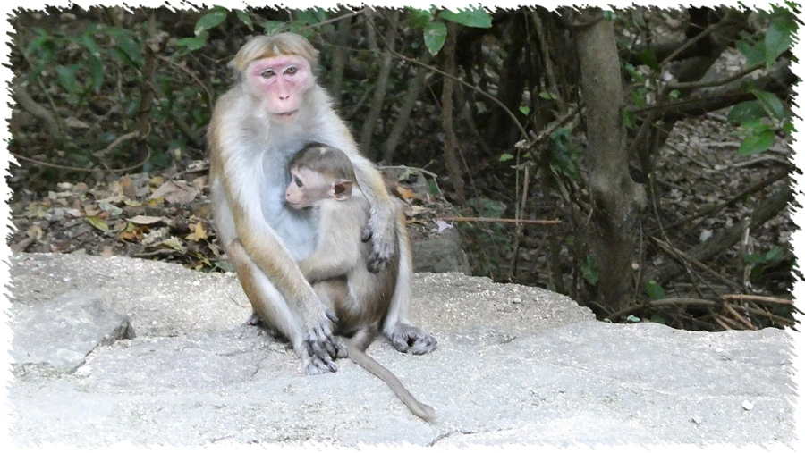 P1010934.jpg?type=w966