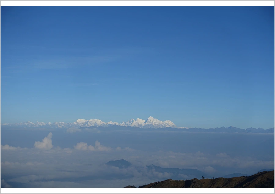 DSC01137.jpg?type=w966