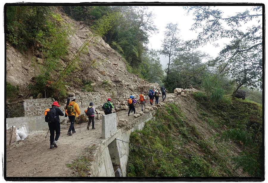 DSC00540.jpg?type=w966