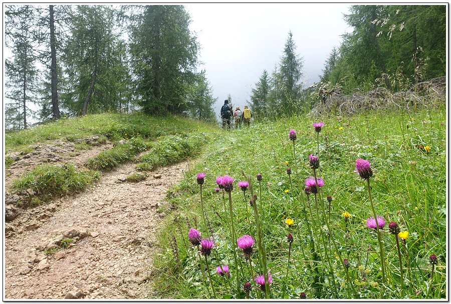 DSC00202.jpg?type=w966&jopt=2