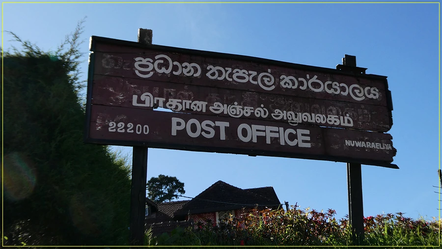 P1011382.jpg?type=w966