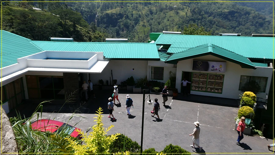 P1011340.jpg?type=w966