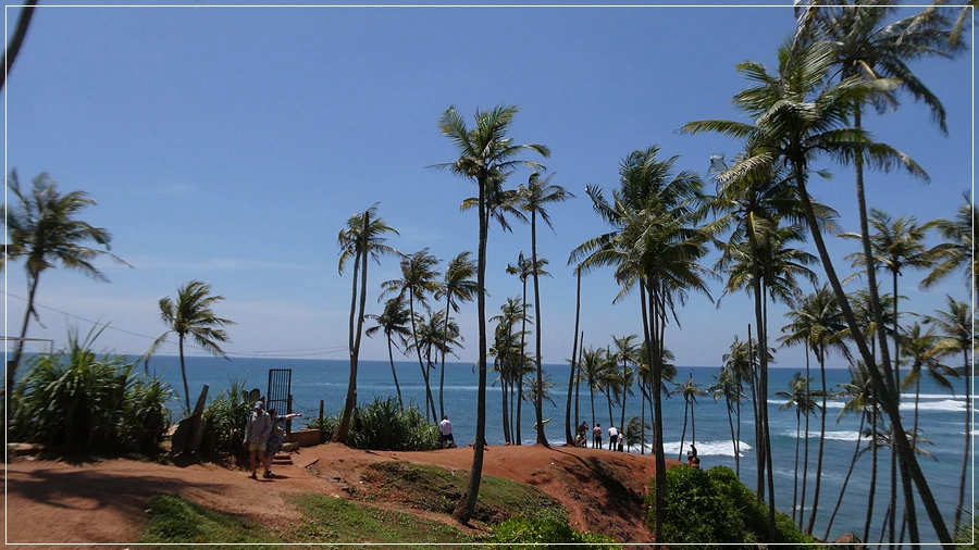 P1021984.jpg?type=w966