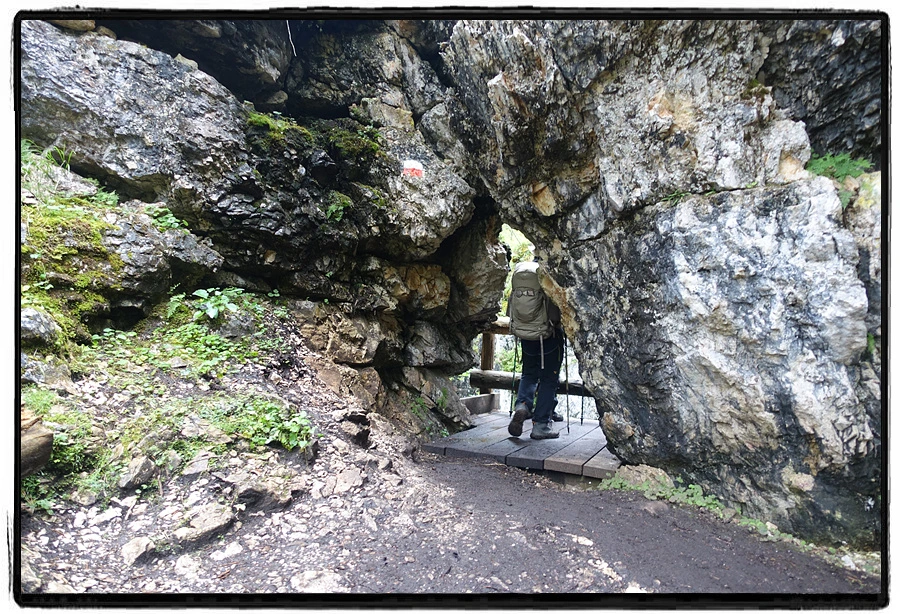 DSC00191.jpg?type=w966&jopt=2