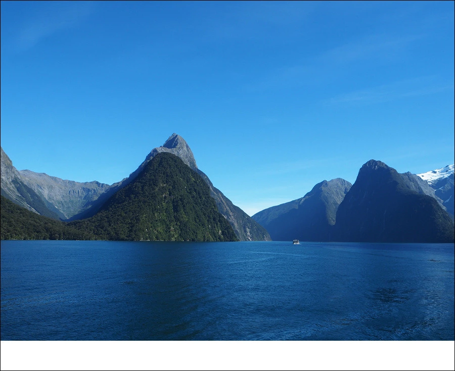 21.jpg?type=w966&jopt=2