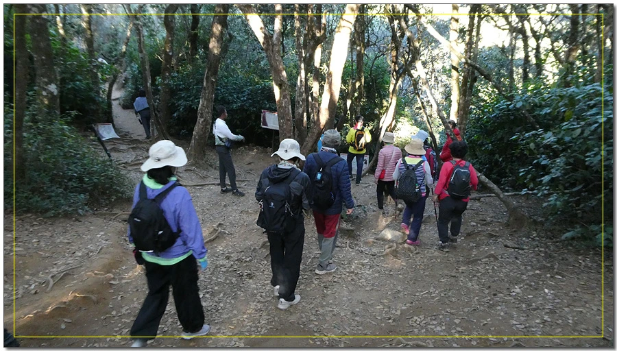 P1011479.jpg?type=w966