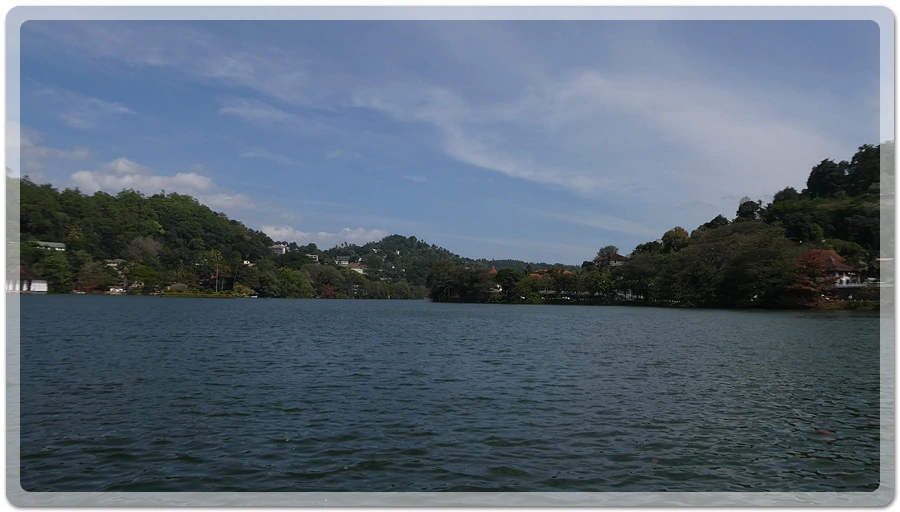 P1011164.jpg?type=w966