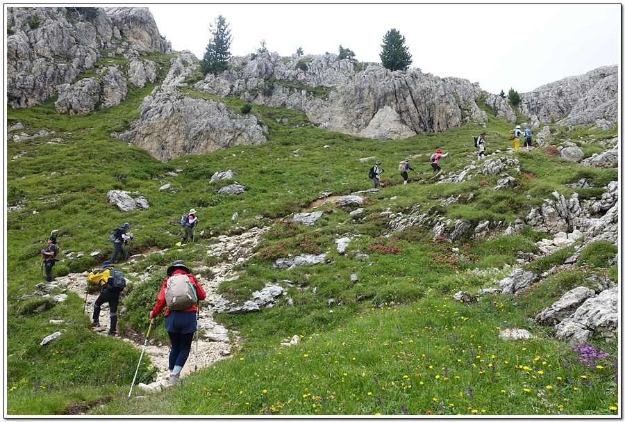 DSC00319.jpg?type=w966&jopt=2