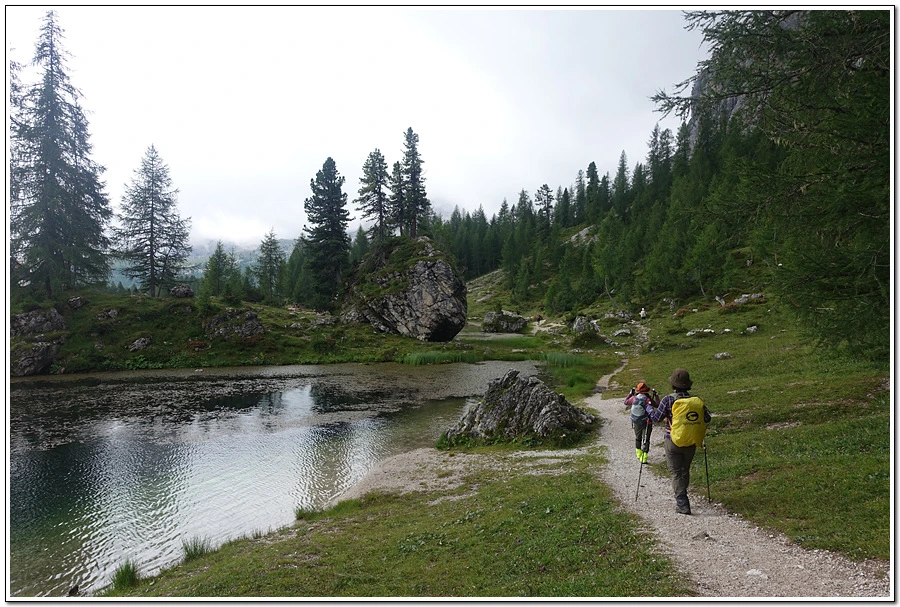 DSC00233.jpg?type=w966&jopt=2