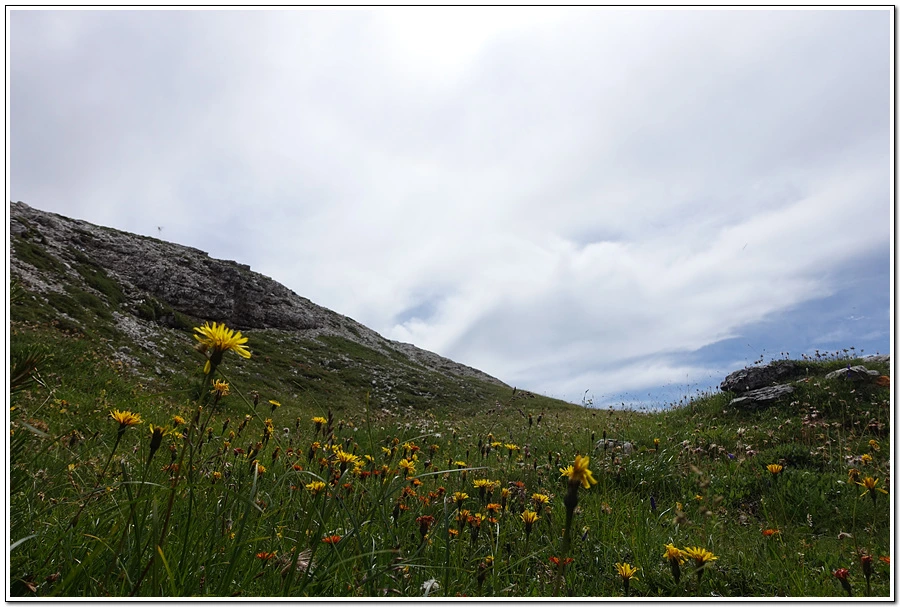 DSC00268.jpg?type=w966&jopt=2