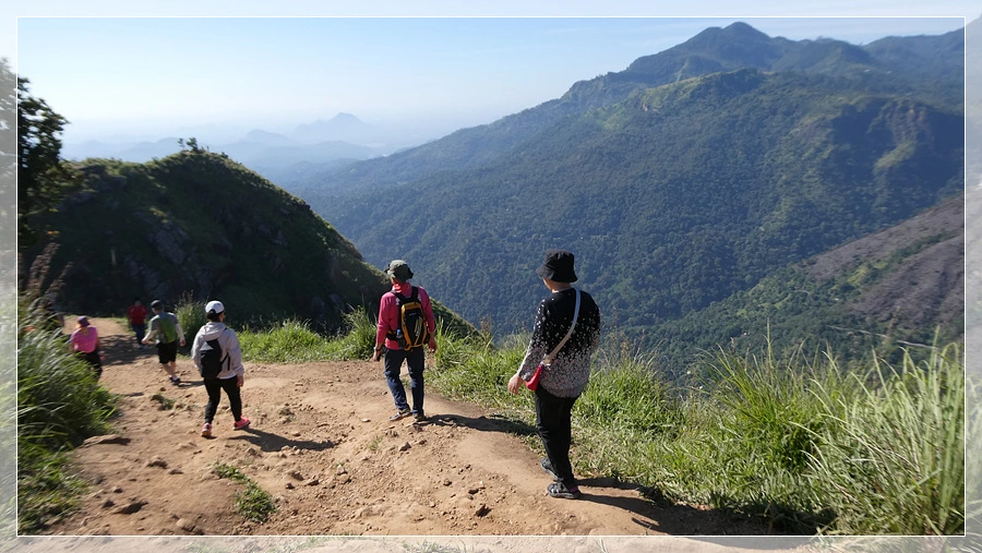 P1011744.jpg?type=w966