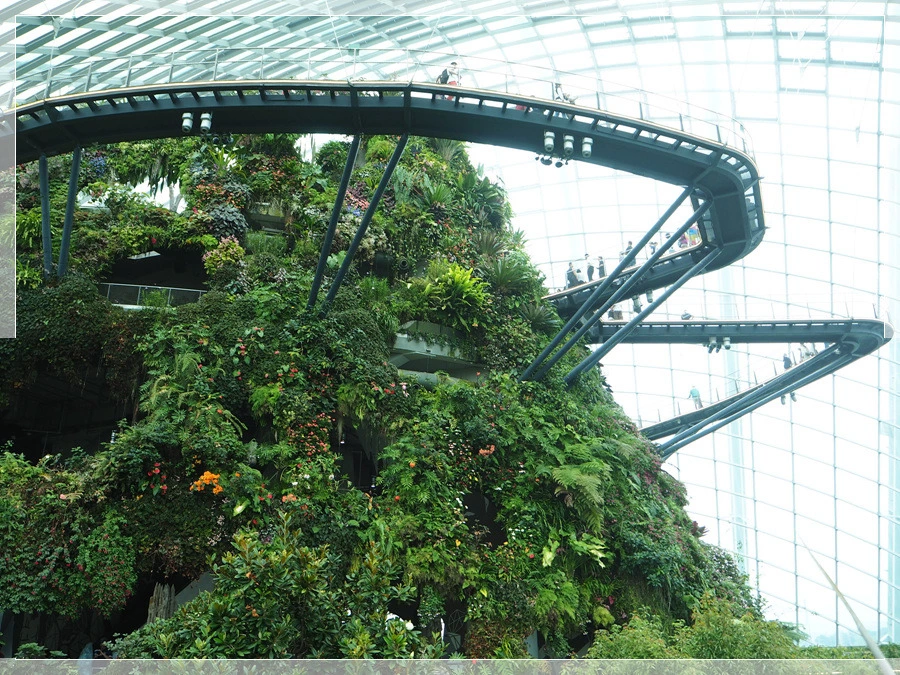 34.jpg?type=w966&jopt=2