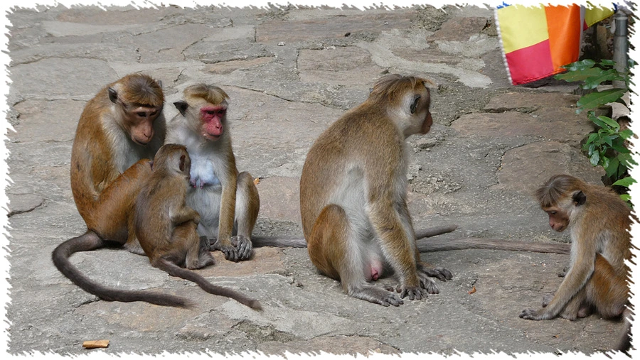 P1010938.jpg?type=w966