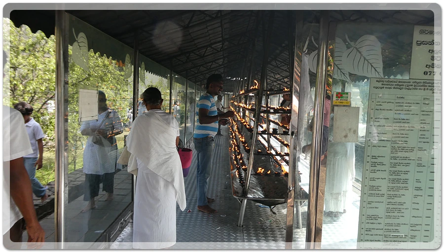 P1011181.jpg?type=w966