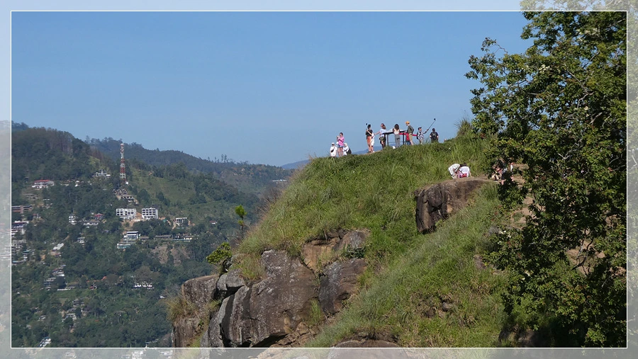 P1011743.jpg?type=w966