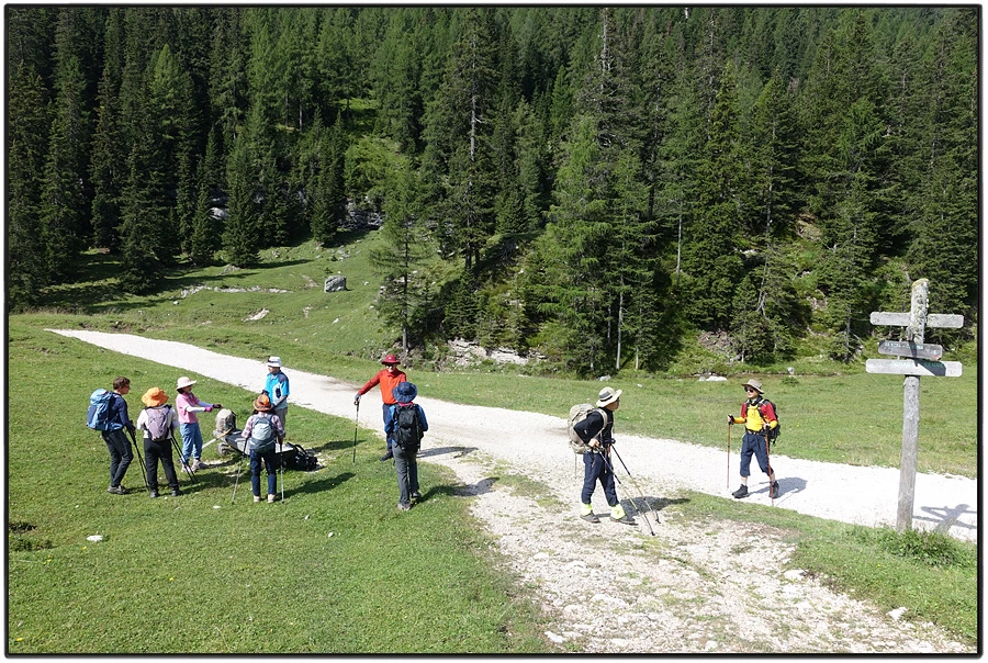 DSC00178.jpg?type=w966&jopt=2