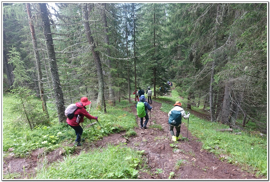 DSC00129.jpg?type=w966&jopt=2