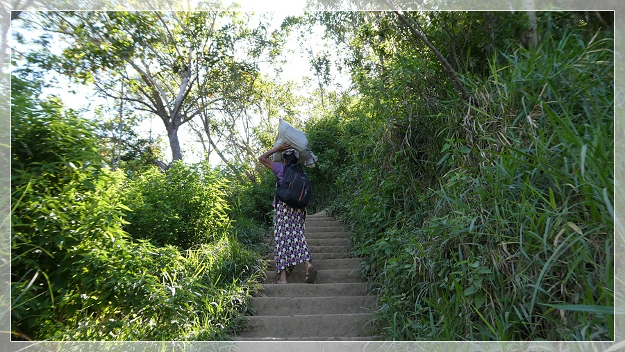 P1011770.jpg?type=w966