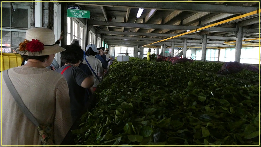 P1011375.jpg?type=w966