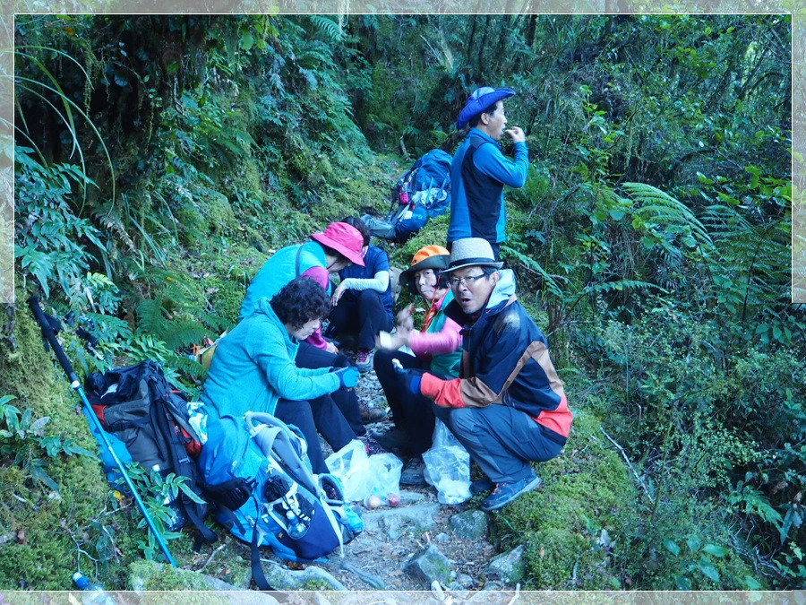 8.jpg?type=w966&jopt=2