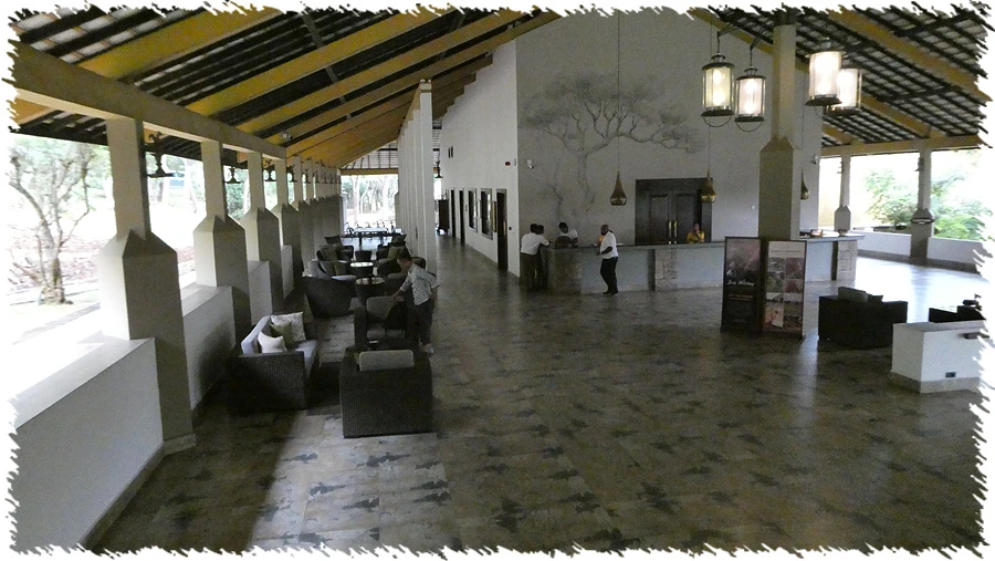 P1010947.jpg?type=w966