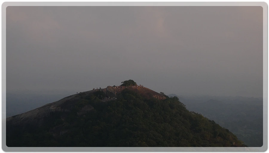 P1011077.jpg?type=w966